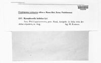 Image Associated With the Occurence